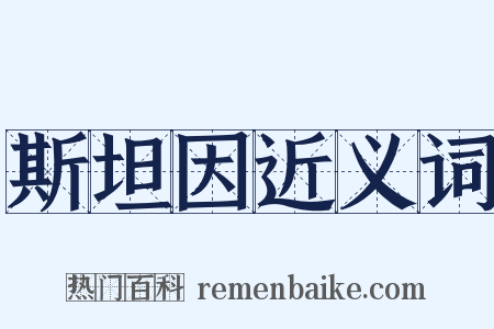 斯坦因近义词是什么意思的图片